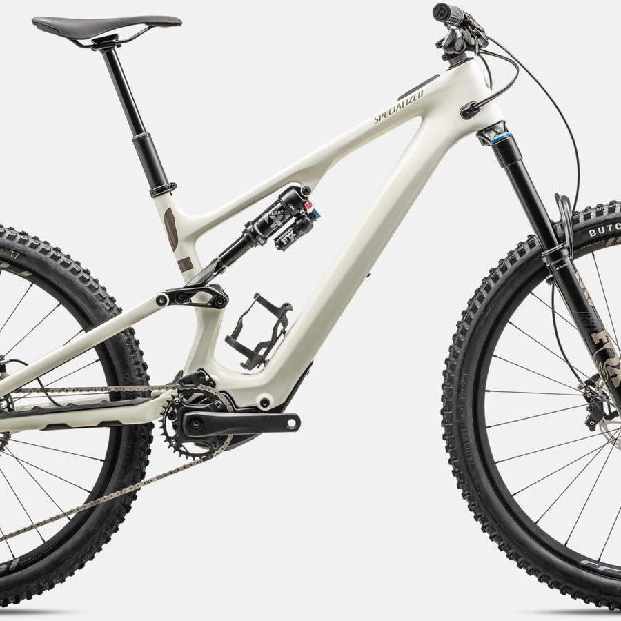 LEVO SL EXPERT CARBON