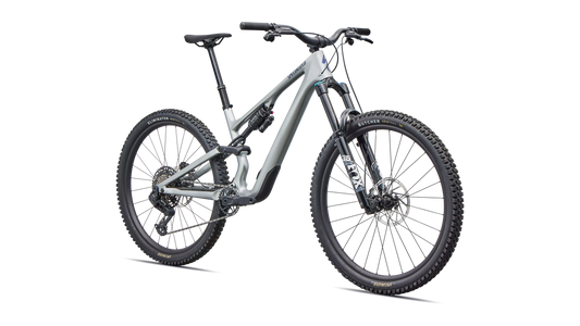 Stumpjumper 15 EVO Comp